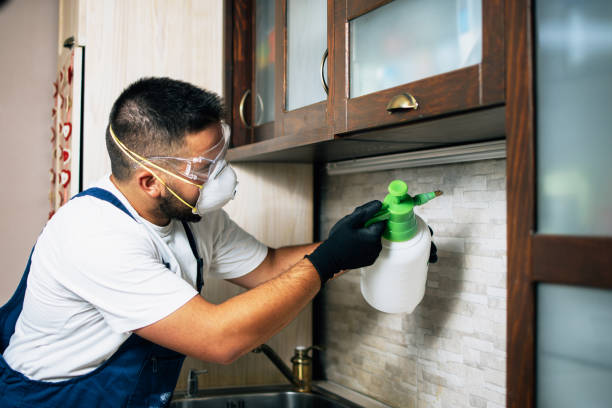 Best Residential Pest Control  in Wailuku, HI