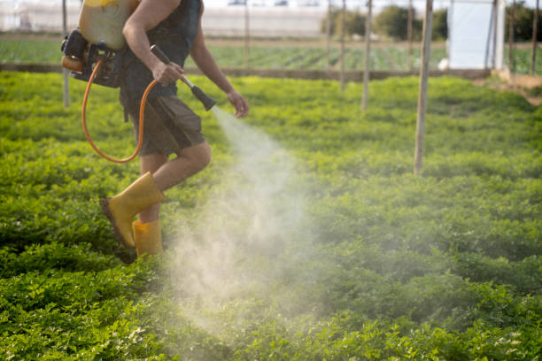 Best Commercial Pest Control Services  in Wailuku, HI